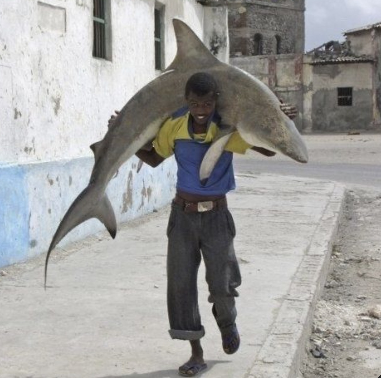 guy carrying shark